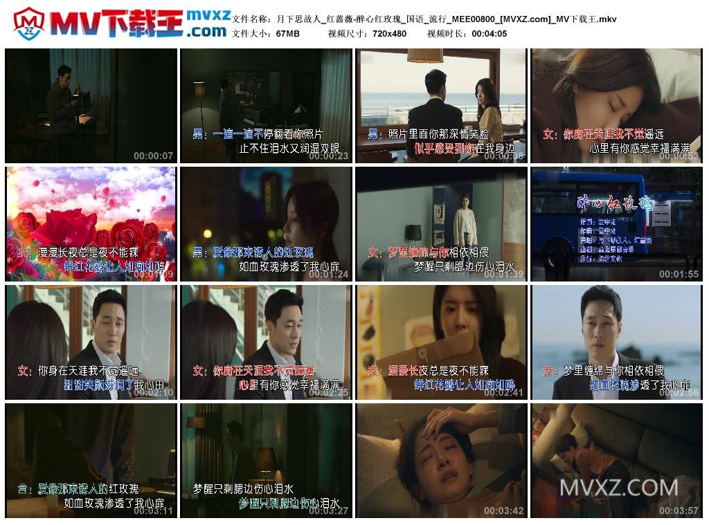月下思故人_红蔷薇-醉心红玫瑰_国语_流行_MEE00800
